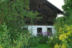 aussentraining080827_053