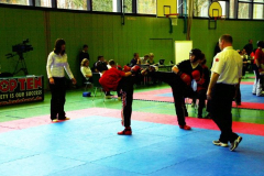 picture-0033