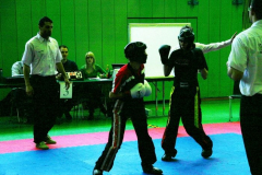 picture-0041