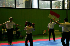 picture-0046