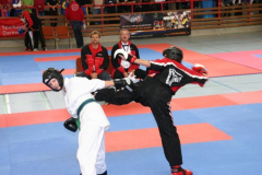 picture-0023