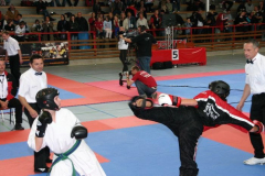 picture-0029