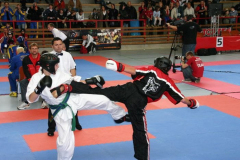 picture-0030