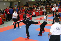 picture-0036