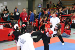 picture-0038