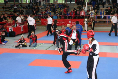 picture-0045