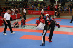 picture-0046