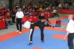 picture-0051