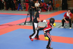 picture-0061