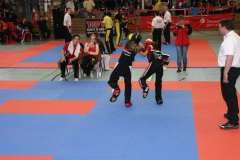 picture-0062