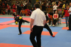 picture-0065