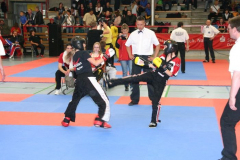 picture-0068