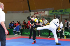 picture-0033