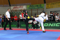 picture-0035