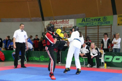 picture-0036
