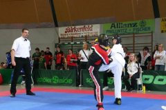 picture-0037
