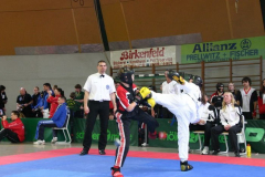 picture-0040