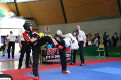 picture-0046