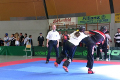 picture-0048
