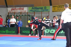 picture-0063