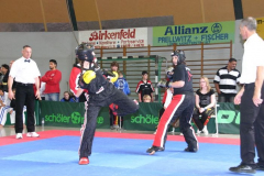 picture-0065