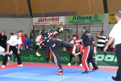 picture-0066