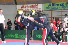 picture-0071