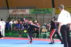 picture-0074