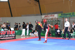 picture-0081