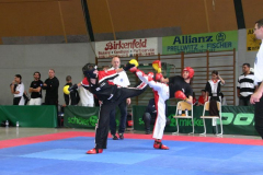 picture-0087