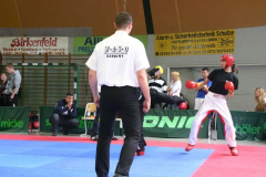 picture-0088