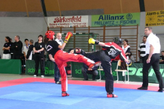 picture-0092