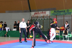 picture-0093