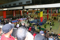picture-0101