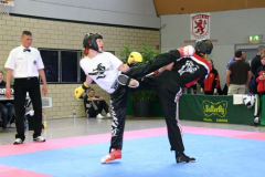 picture-0111