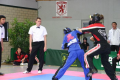 picture-0131