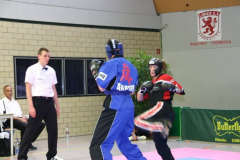 picture-0132