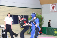picture-0133