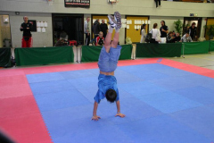 picture-0136