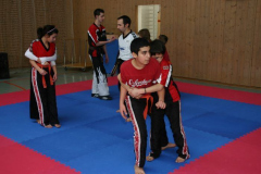 picture-0006