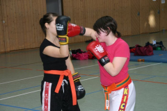 picture-0013
