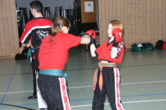 picture-0014