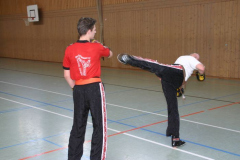 picture-0021