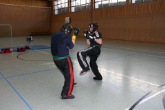picture-0033
