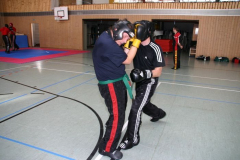 picture-0035