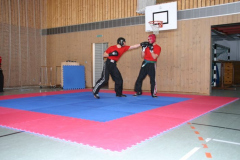 picture-0037