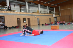 picture-0038