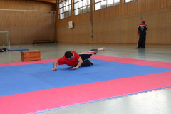 picture-0039