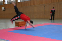 picture-0040