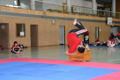 picture-0041
